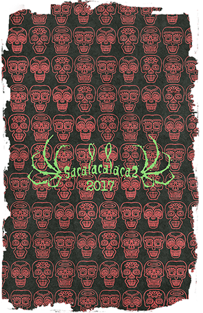Edición 2017